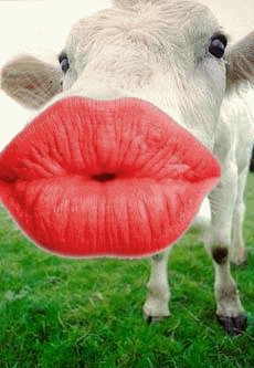slt
